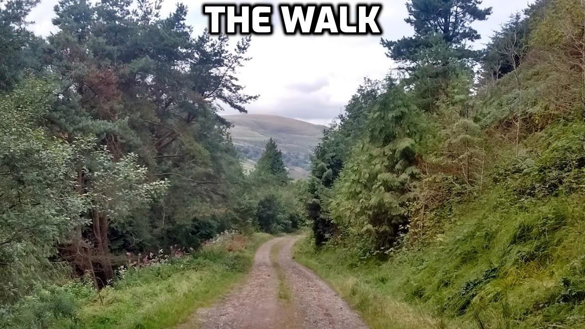 the walk